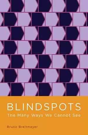 blindspots-the-many-ways-we-cannot-see - Bruno Breitmeyer - Novel - www.indianpdf.com_ - Download Book PDF Online