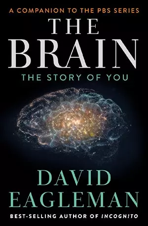 Brain - The Story of You - David Eagleman - www.indianpdf.com_ - Download Book Novel PDF Online Free
